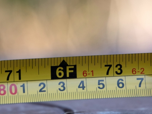 social-distancing-cover